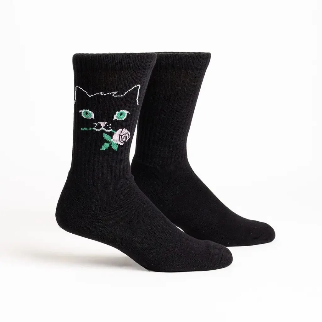 Black Cat - Female 